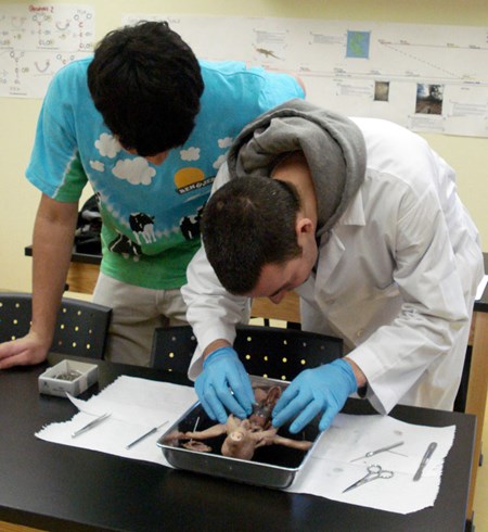 science experiment in school